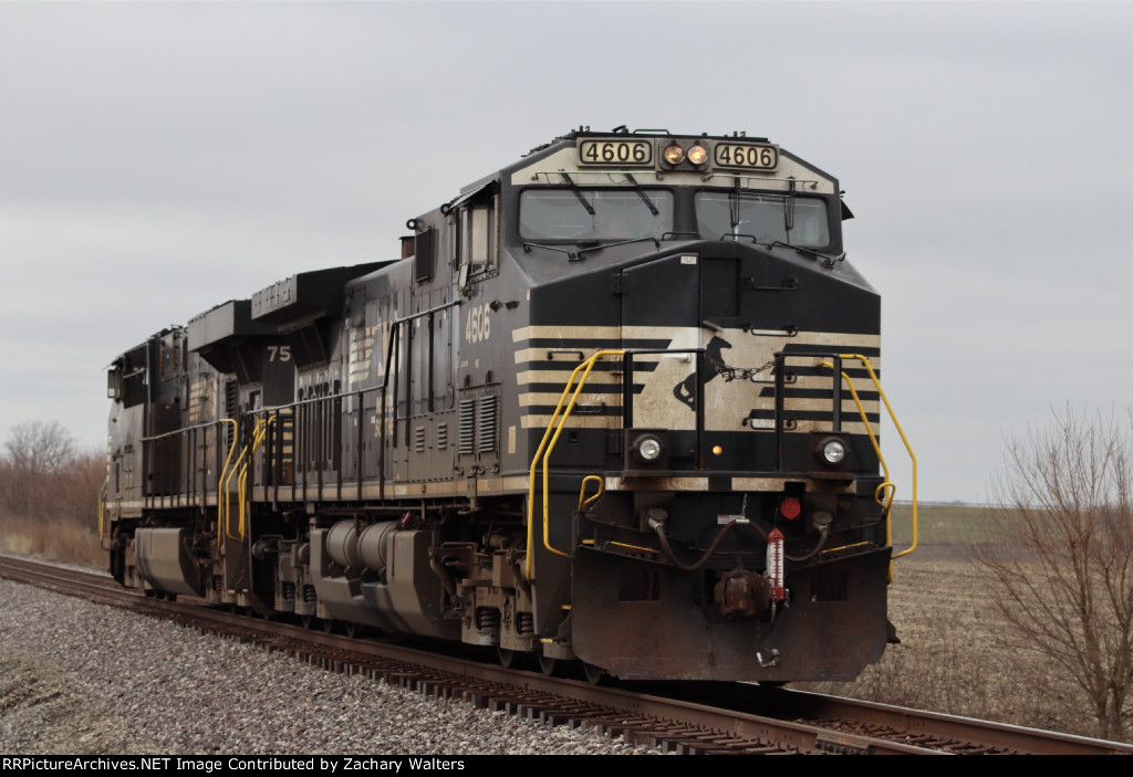 NS 4606